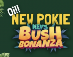 15 Spins at Fair Go Casino No Deposit Bonus Code